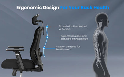 High-Back Ergonomic Office Chair, Heavy Duty