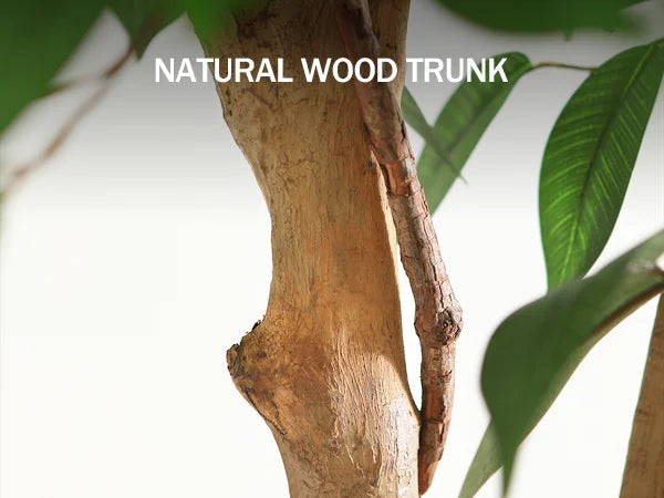 Artificial Ficus Tree | Fake Potted Plant with Natural Wood Trunk
