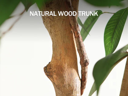 Artificial Ficus Tree | Fake Potted Plant with Natural Wood Trunk